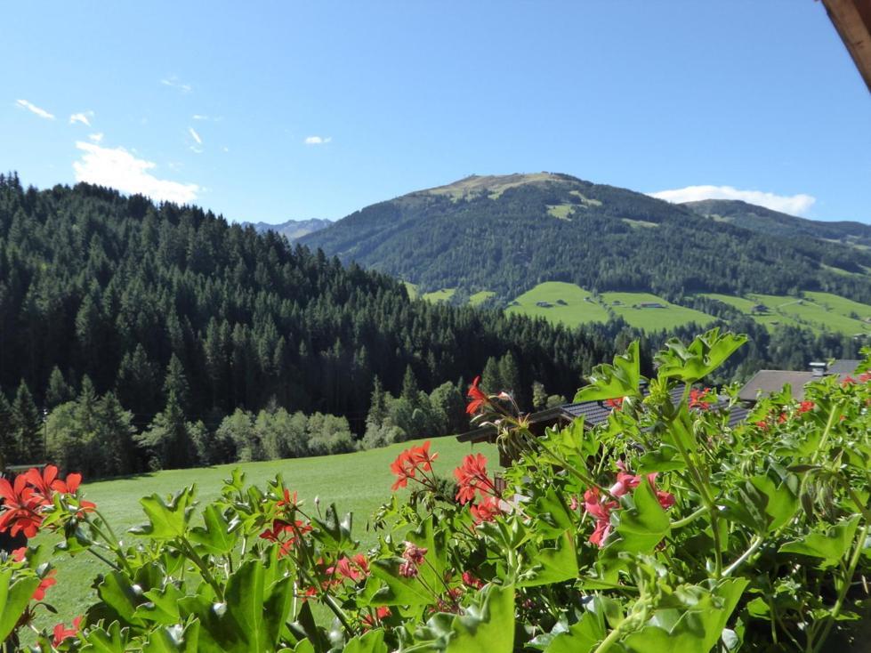 Alpbacher Appartementhaus Johannes Экстерьер фото